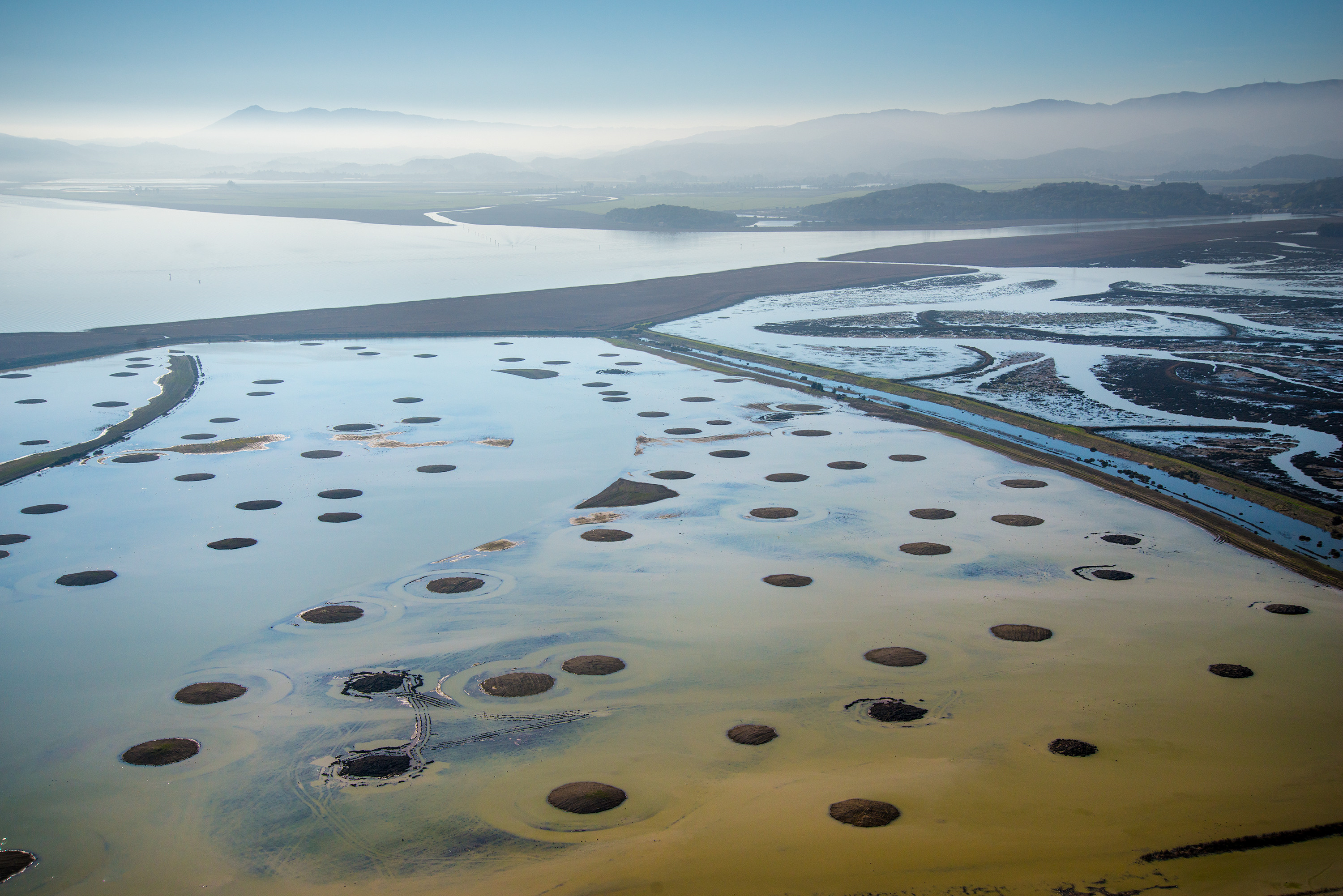 Sears Point Wetland Restoration, San Pablo Bay, CA